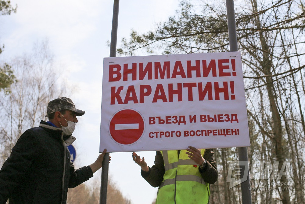 Вспышки АЧС у диких кабанов в Нижегородской области спровоцировали животные-мигранты и браконьеры