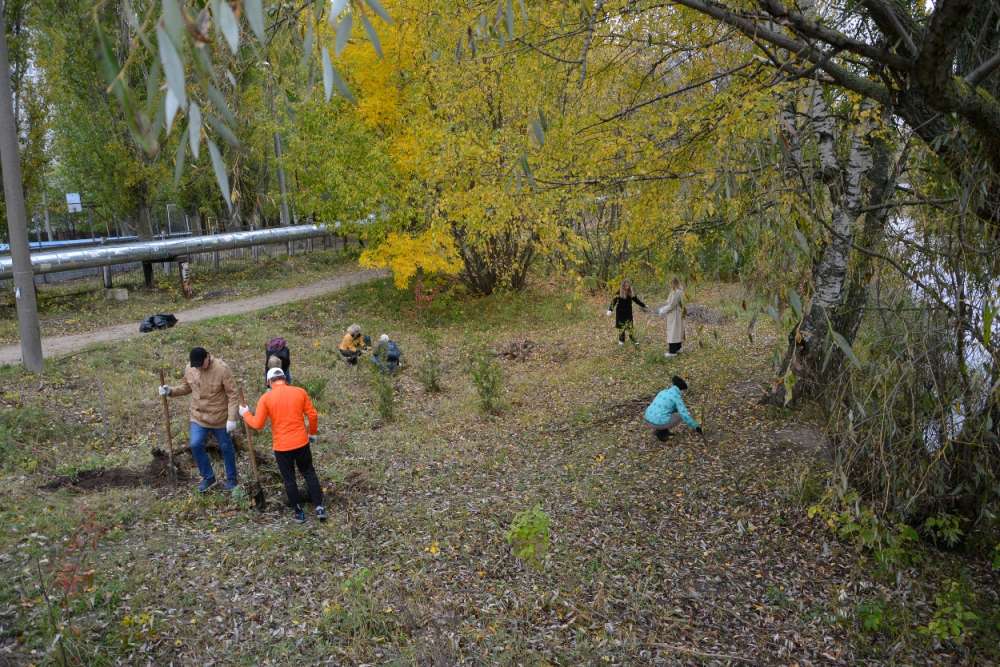 Волонтеры, школьники и сотрудники администрации Московского района очистили берега речки Левинка