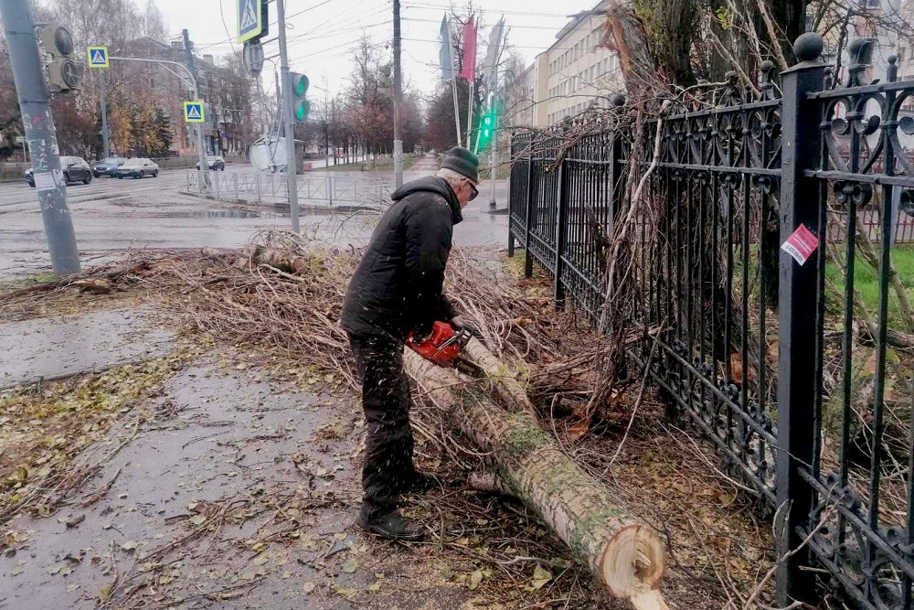 Более 30 деревьев повалил ветер в Нижнем Новгороде c 12 на 13 ноября