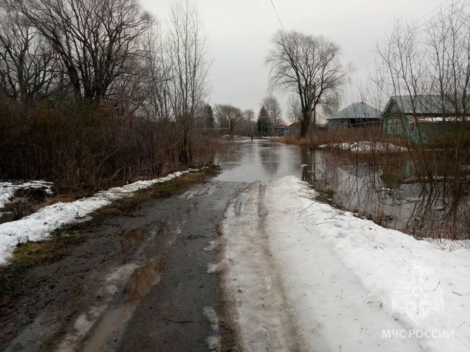 Два моста затопили паводковые воды 26 марта в Нижегородской области