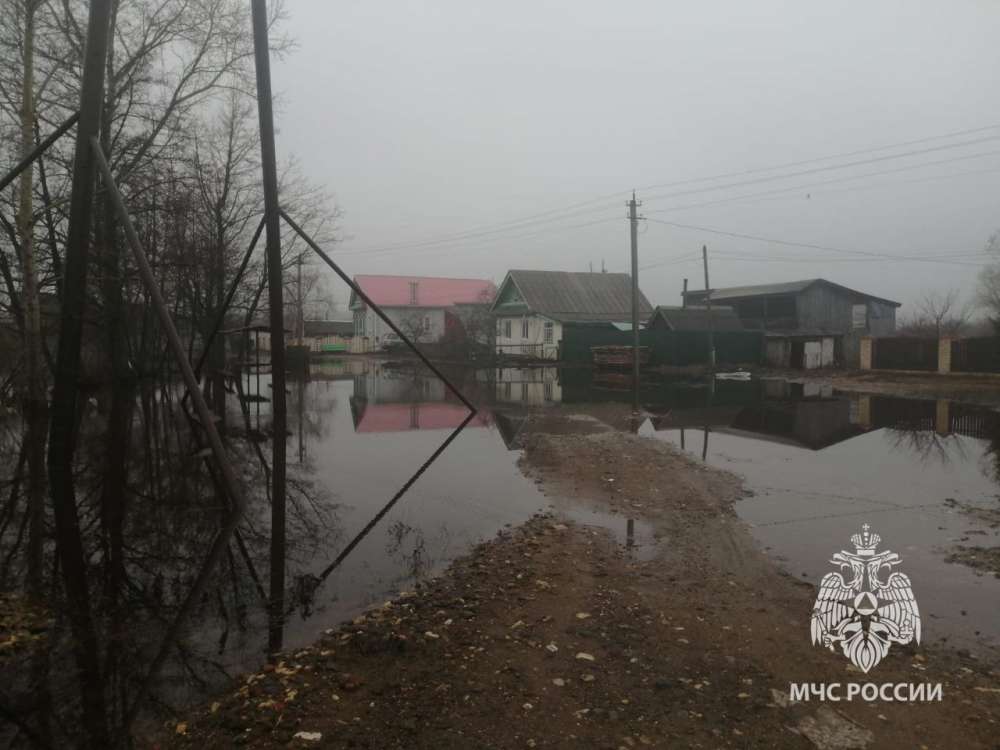 Более 20 дворов освободились от паводковых вод в Нижегородской области