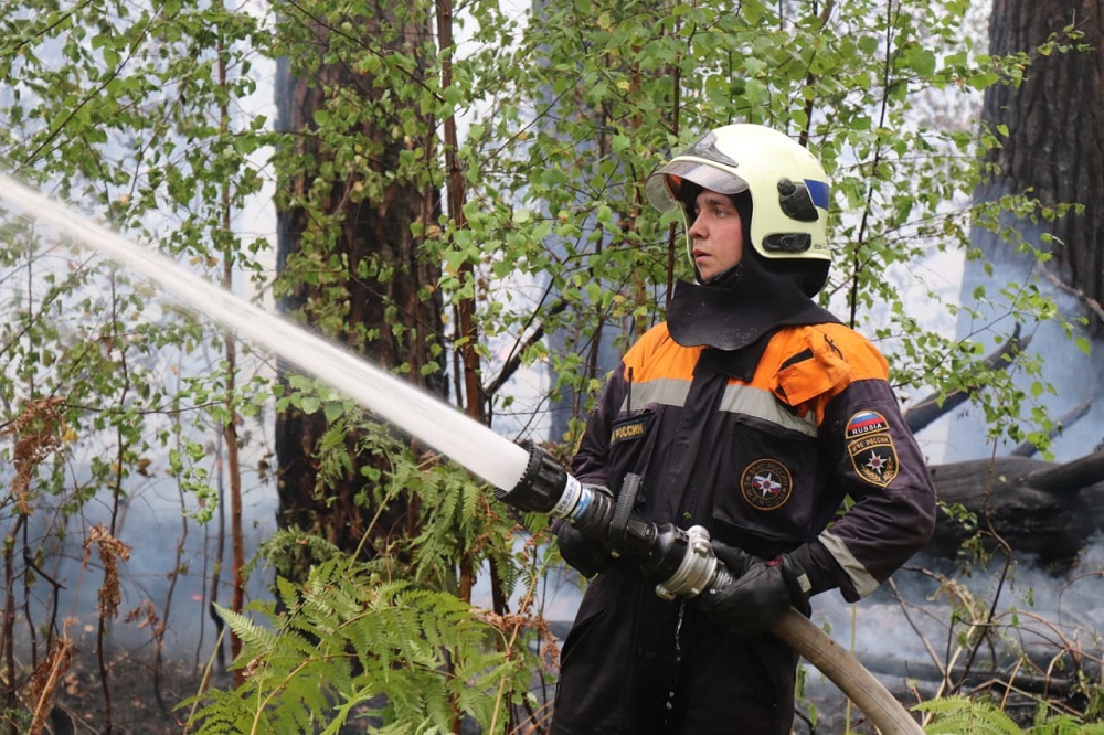 Особый противопожарный режим введён в Нижегородской области с 17 апреля