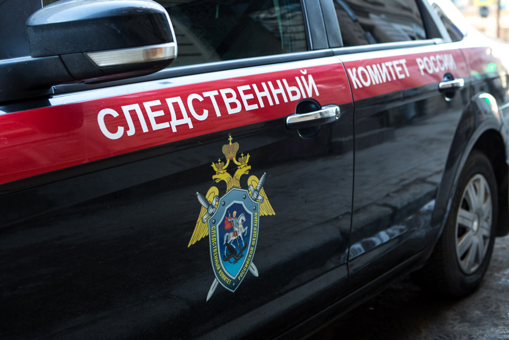 Александр Бастрыкин взял на контроль уголовное дело о смерти ребенка в больнице Дзержинска