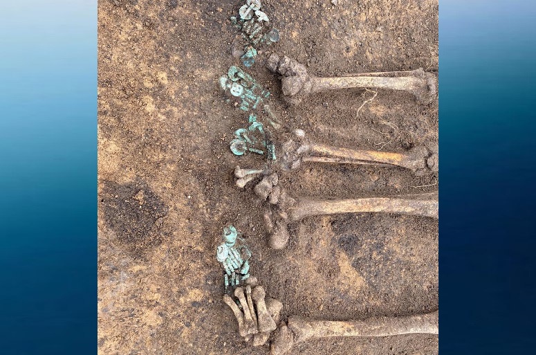 Древнемордовский могильник обнаружили в ходе археологических раскопок в селе  Выездное в Арзамасском районе