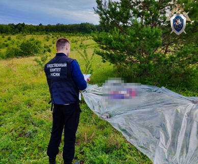 Подозреваемого в убийстве 67-летней женщины задержали в Починковском районе
