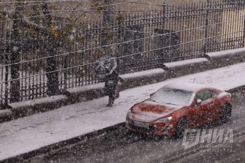 Аномально тёплая погода установилась в Нижегородской области до конца декабря