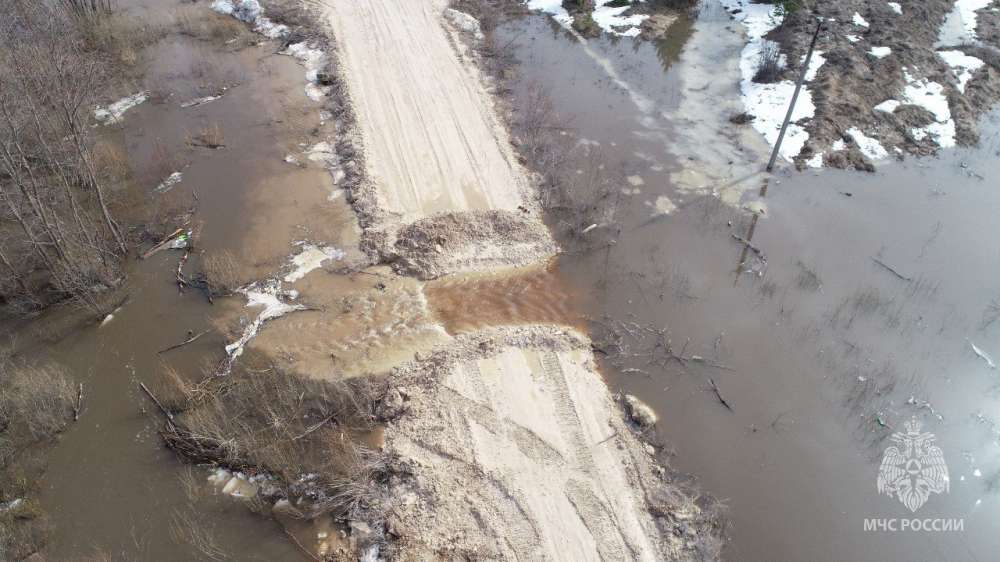Двенадцать мостов затоплено в Нижегородской области по данным на 3 апреля