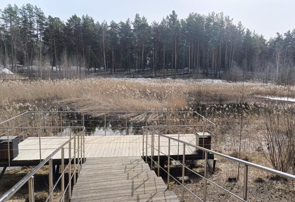 Расчистку озера Утиное в Дзержинске завершат в 2025 году