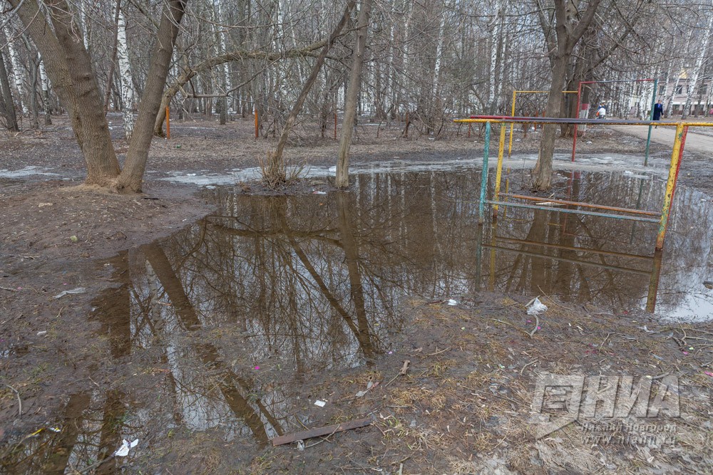 Еще 24 земельных участка освободились от воды в Нижегородской области