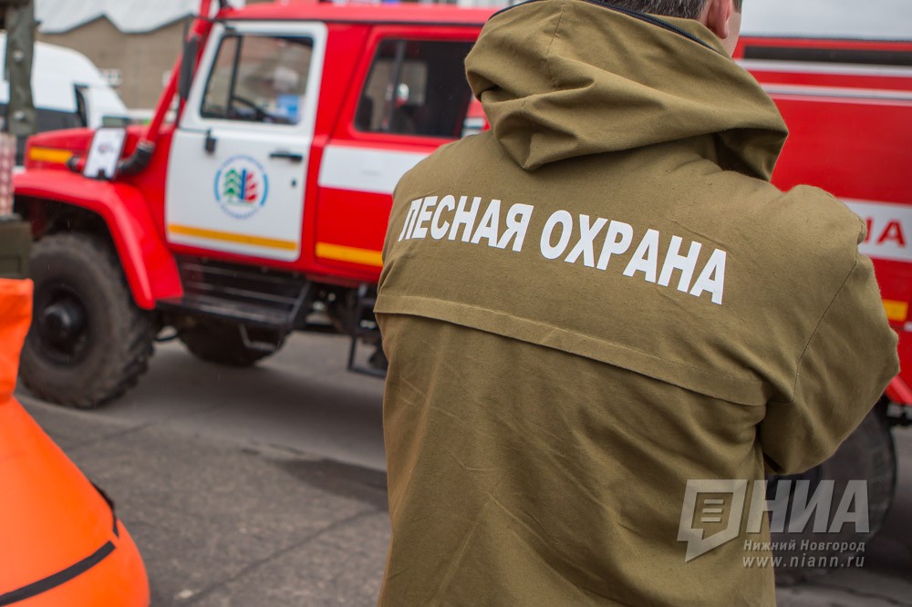 Лесопожарный период в Нижнем Новгороде начнется со второй декады апреля