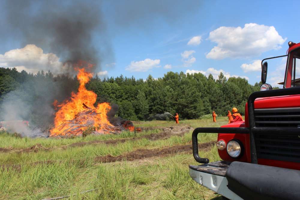 Пожароопасный сезон в лесах Нижегородской области начался 17 апреля