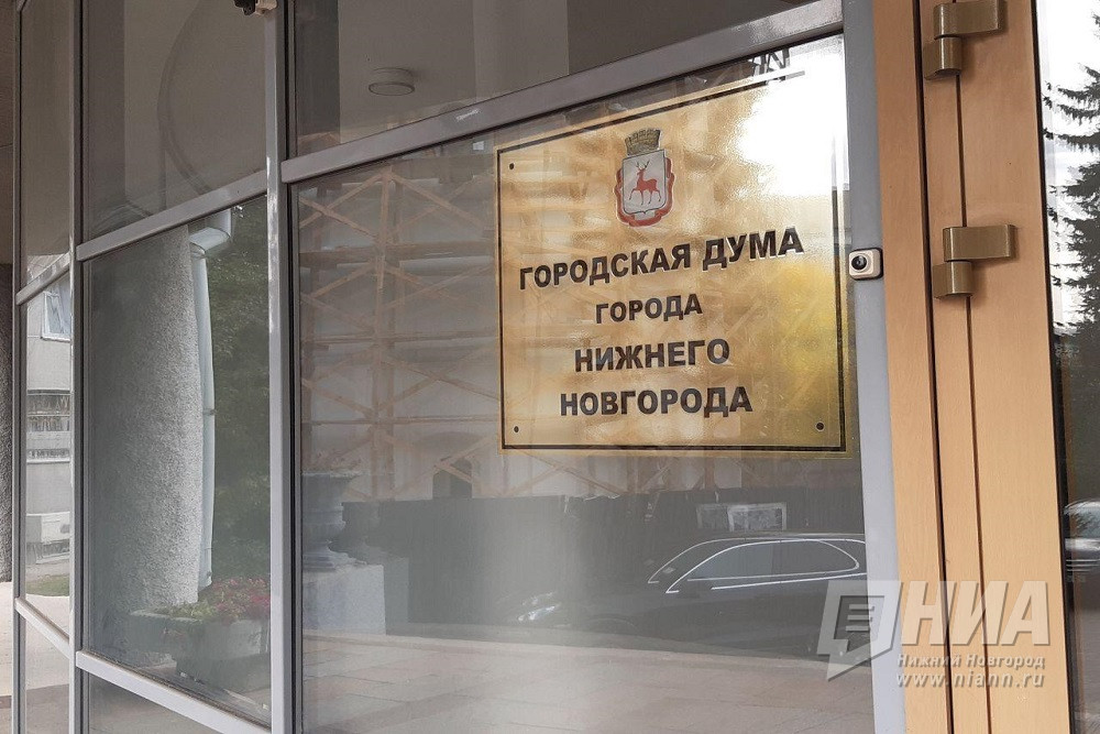 Почетный знак городской Думы может появиться в Нижнем Новгороде