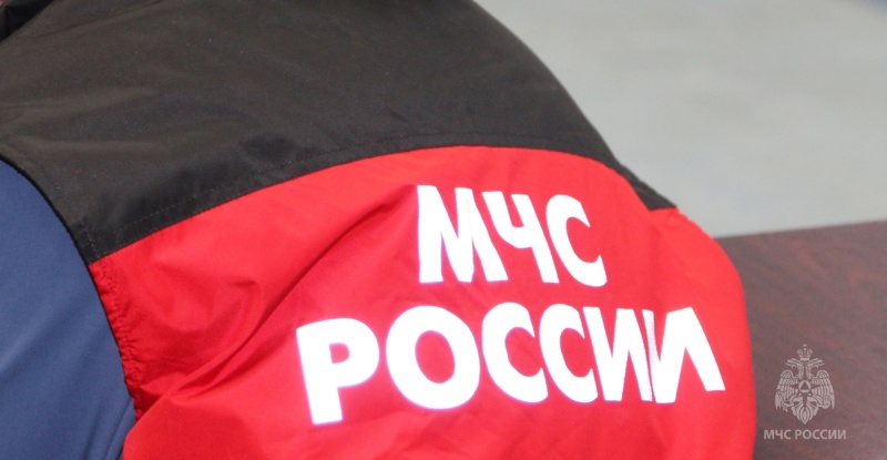 Блогера на надувном фламинго отнесло течением на середину Волги в Нижнем Новгороде 