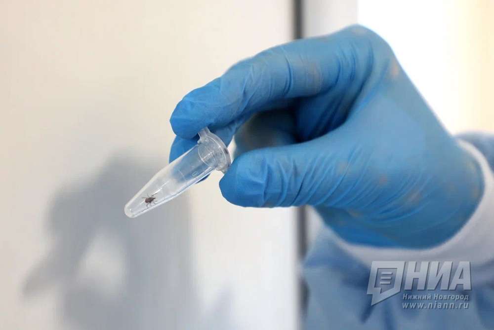 Более 270 человек пострадали от укусов клещей за неделю в Нижегородской области