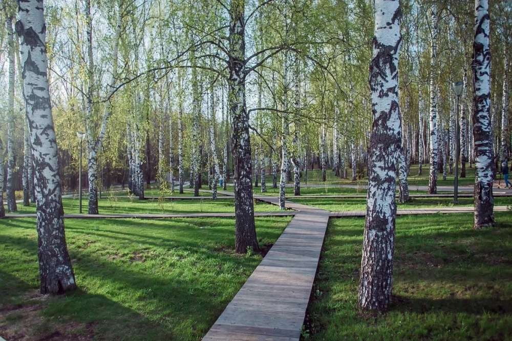 Парк "Швейцария" в Нижнем Новгороде 3 мая закроют на акарицидную обработку