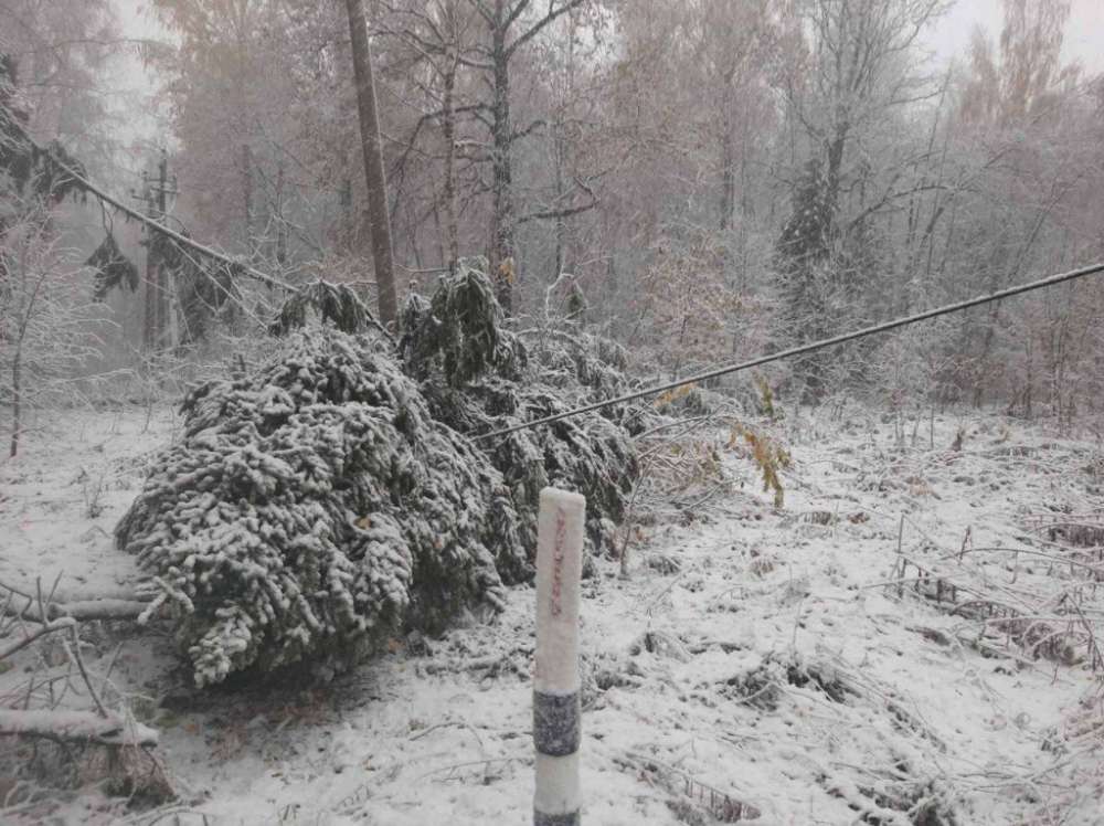 Энергетики устранили 68 повреждений на ЛЭП после снегопада в Нижегородской области 