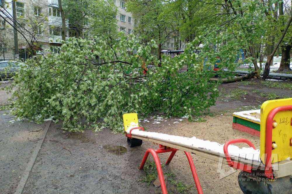 Майский снегопад повалил в Нижнем Новгороде более 100 деревьев