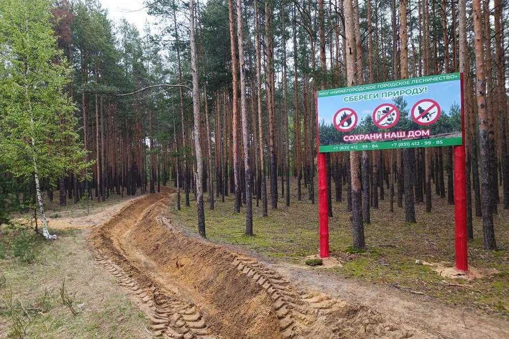 Свыше 80% минерализованных полос обновили в городских лесах Нижнего Новгорода 