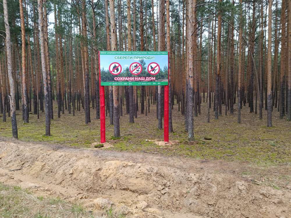 Патрулирование в городских лесах Нижнего Новгорода будет проводиться по 9 маршрутам
