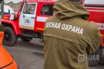 Высокая пожароопасность лесов установилась в 44 муниципалитетах области