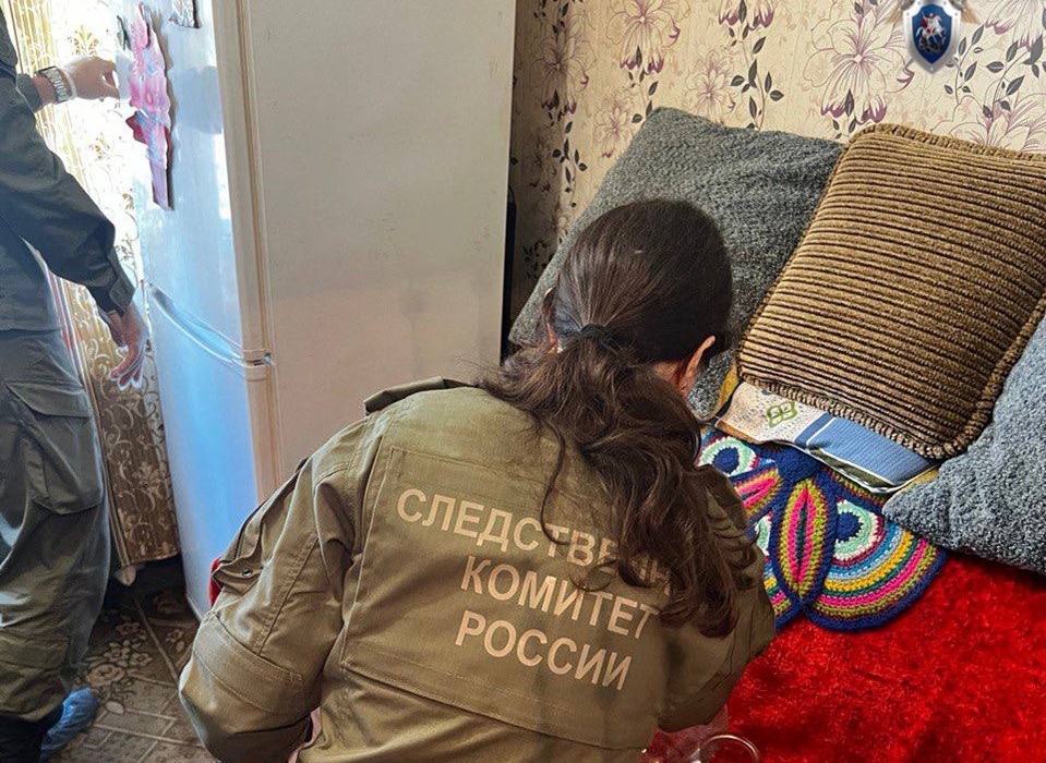 Бастрыкин потребовал доклад по делу о массовом отравлении алкоголем в Балахне