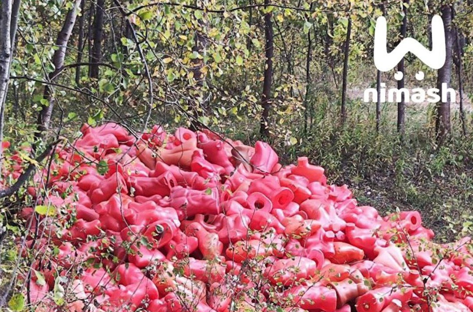 Кладбище манекенов нашли на берегу Везломы в Нижегородской области