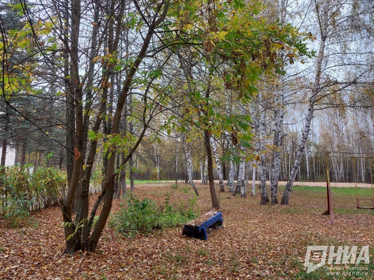 Мэрия Нижнего Новгорода предлагает отказаться от уборки листвы в парках