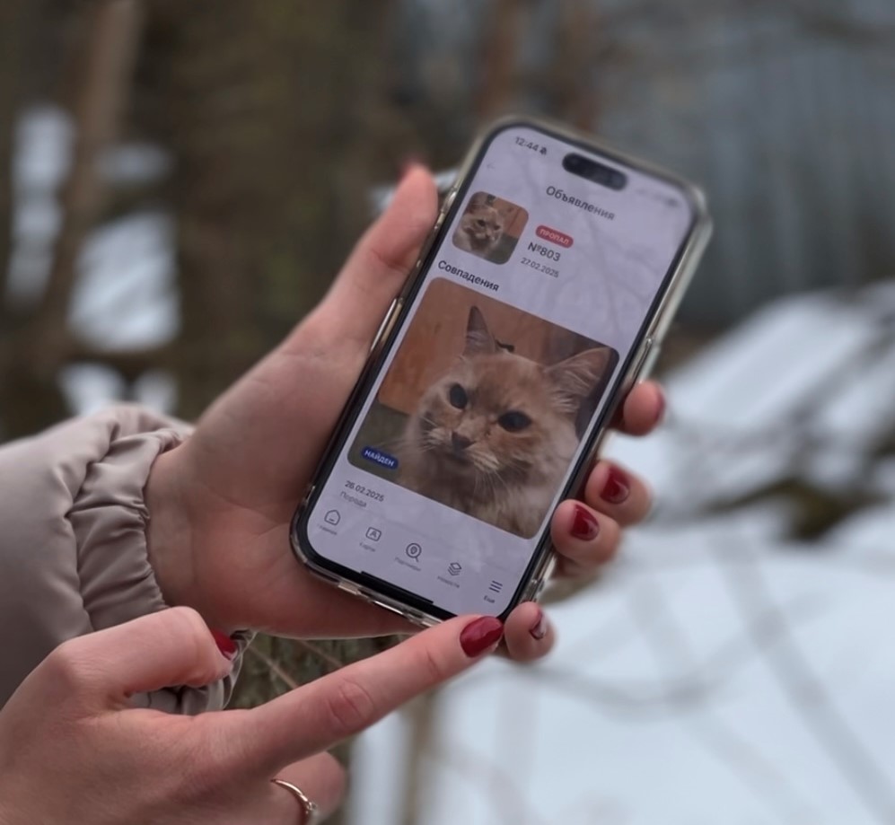 Нижегородский ИИ-сервис для поиска домашних животных занял 1 место на всероссийском конкурсе