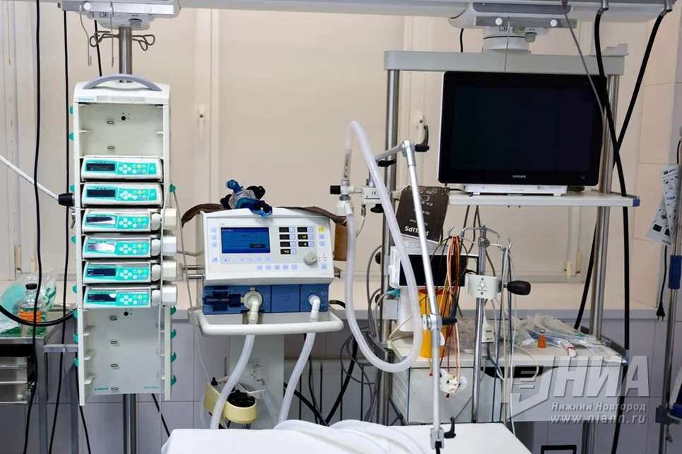 Ученые из Нижнего Новгорода разморозили раковые клетки спустя 12 лет