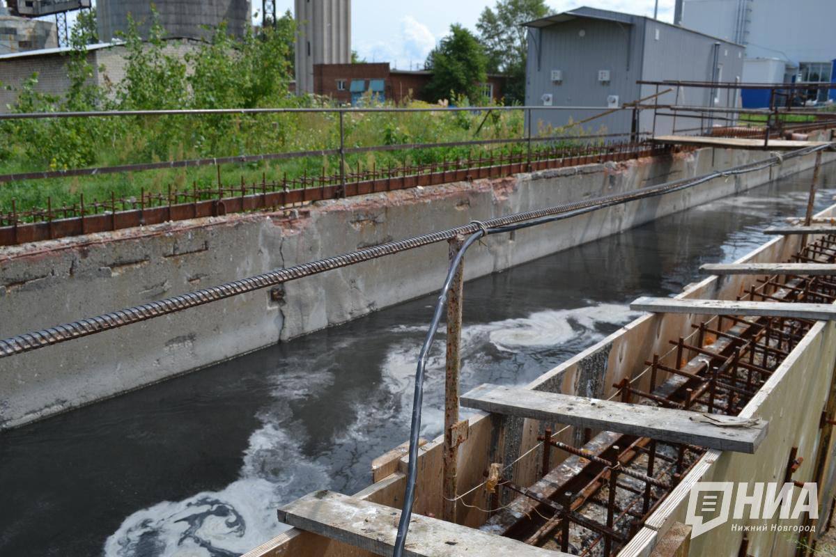 Что говорят в 