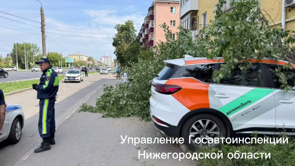 В Нижнем Новгороде осудят водителя каршеринга, сбившего пешехода на Ленина