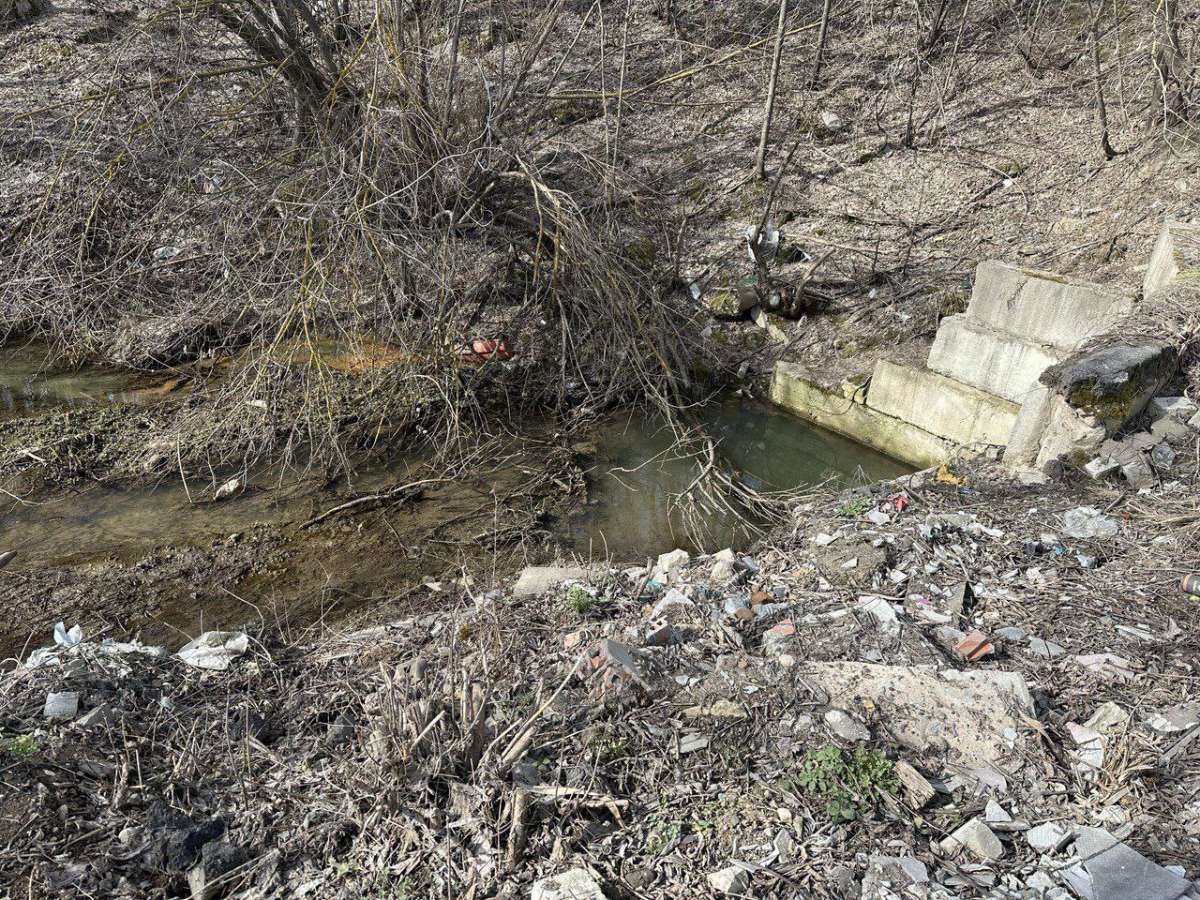 Кузнечихинский ручей в Нижнем Новгороде оказался завален мусором