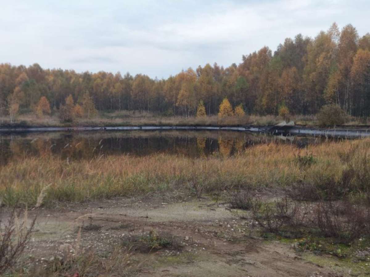 ЗМЗ снова оштрафовали за загрязнение почвы на полигоне под Балахной