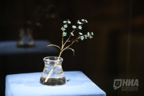 В НГХМ представили шедевры ювелирного искусства