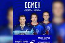 Нападающий Владимир Ткачев пополнил нижегородское Торпедо