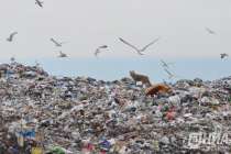 Более 4,7 млн рублей за вред почве взыскали с Ситиматик— Нижний Новгород