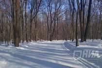 Реконструкцию трамплинов в Кузнечихе временно отложили