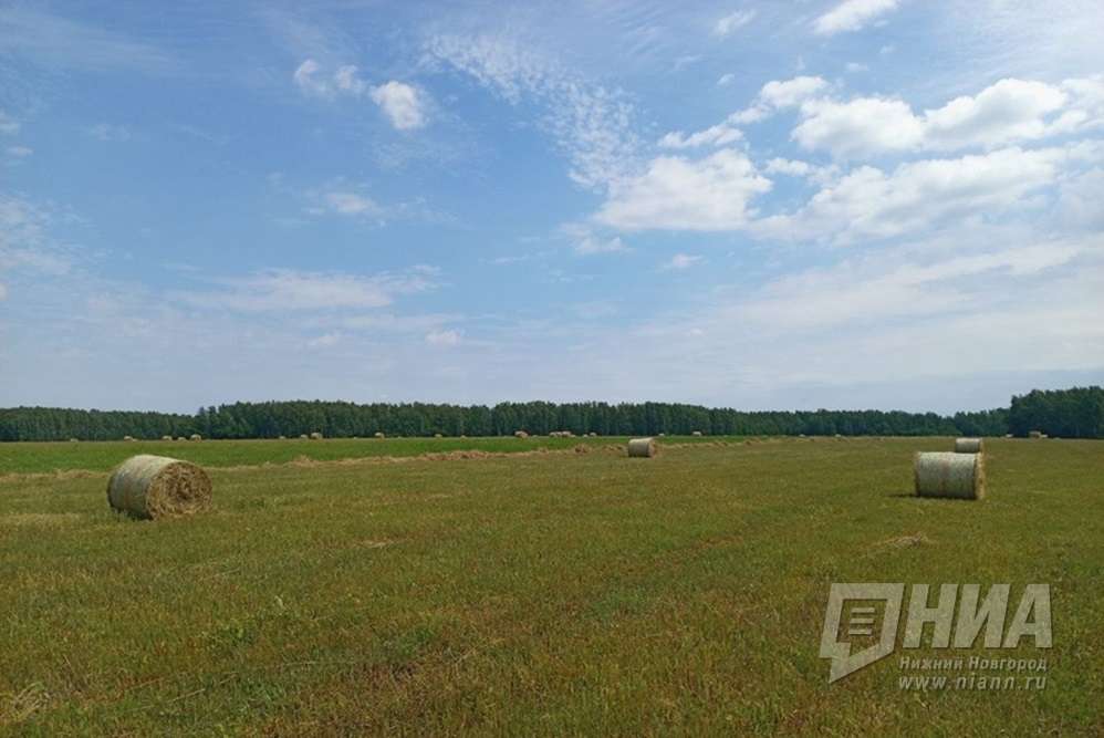 Нижегородские власти предложили уравнять выкупную цену сельхозземель