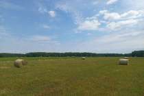 Нижегородские власти предложили уравнять выкупную цену сельхозземель