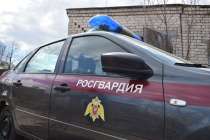 В Госдуме потребовали усилить охрану российских школ