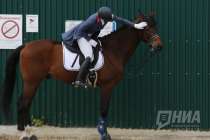 Кабайло рассказал, чем закончилась история с избиением лошади в спортшколе