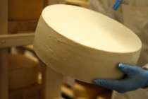 Первый в Нижегородской области производитель сыра присоединился к федпроекту Производительность труда