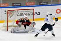 Нижегородская Чайка всухую уступила Омским Ястребам с разгромным счетом