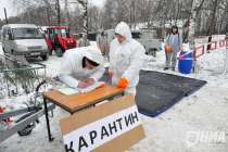 В МЧС назвали нижегородские муниципалитеты с риском распространения бешенства