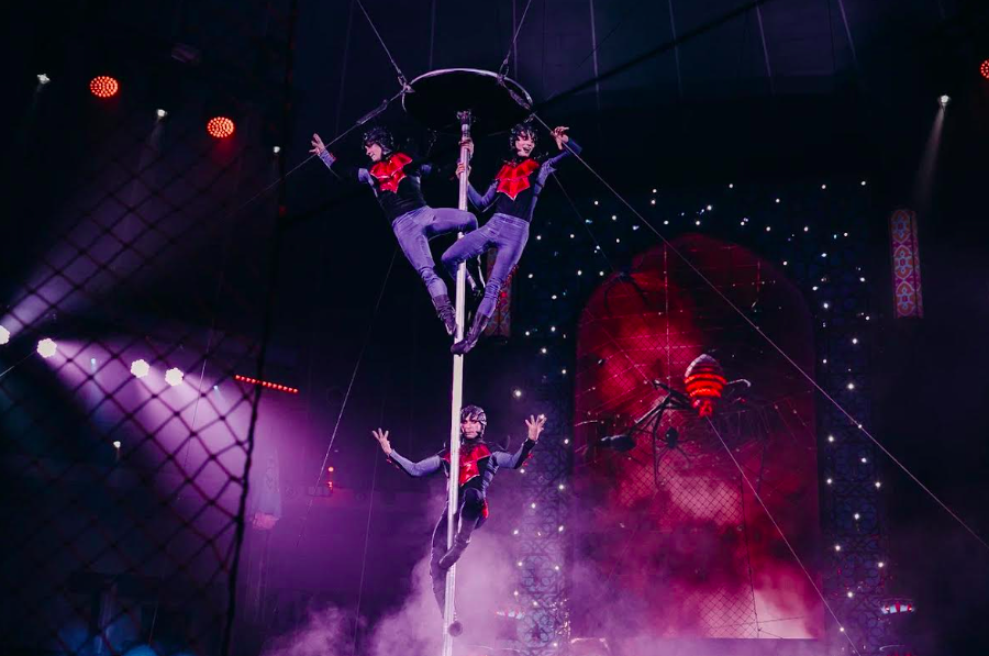 архив шоу продюсерского центра Гии Эрадзе "Песчаная сказка"