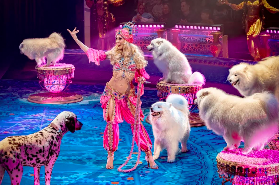 архив шоу продюсерского центра Гии Эрадзе "Песчаная сказка"