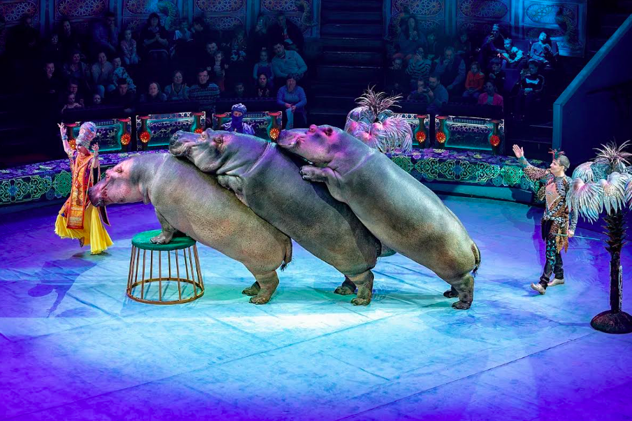 архив шоу продюсерского центра Гии Эрадзе "Песчаная сказка"