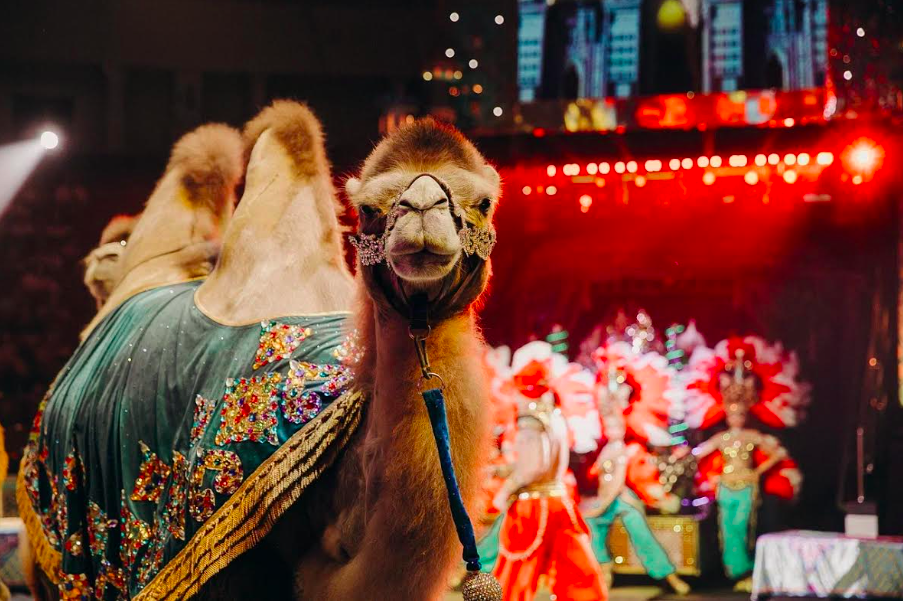 архив шоу продюсерского центра Гии Эрадзе "Песчаная сказка"