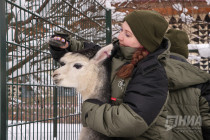 Зима в Лимпопо