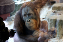 Зима в Лимпопо